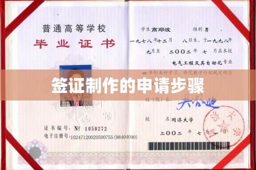 江城签证制作的申请步骤